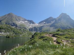 Taillefer-date (749)