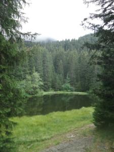 Taillefer-date (8)