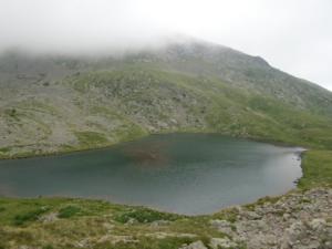 Taillefer-date (80)