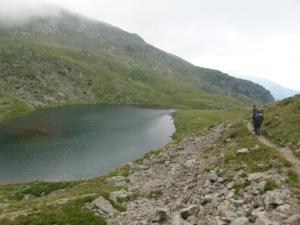 Taillefer-date (81)