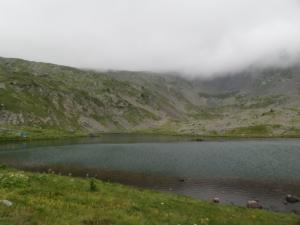 Taillefer-date (82)