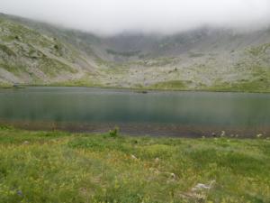 Taillefer-date (84)