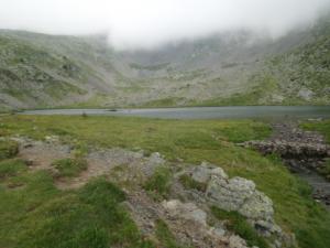 Taillefer-date (87)