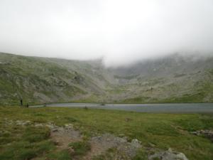 Taillefer-date (88)