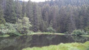 Taillefer-date (9)