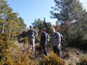 Buegue-date (14)