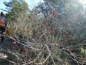Buegue-date (15)