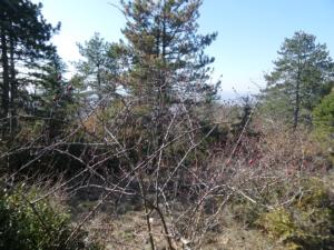 Buegue-date (16)