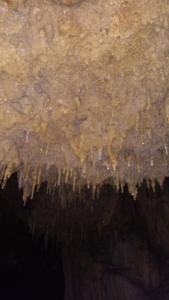 Buegue-date (165)