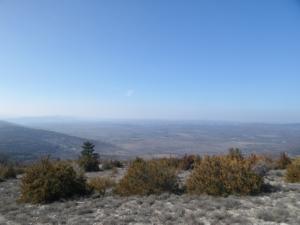 Buegue-date (2)