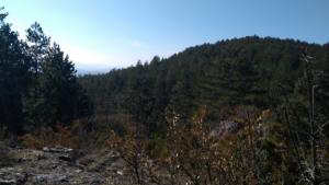 Buegue-date (24)