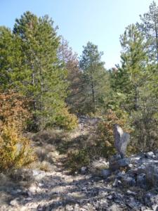 Buegue-date (34)