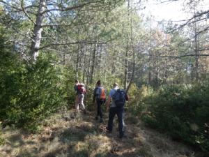 Buegue-date (37)