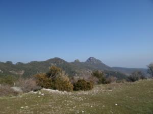 Buegue-date (80)