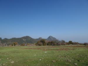 Buegue-date (81)