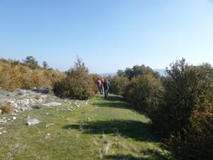 Buegue-date (86)