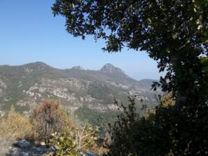Buegue-date (88)