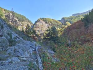 Chaudun-date (469)