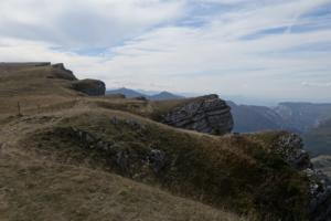 VercorsCerf-date (20)