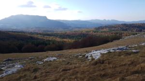 VercorsCerf-date (205)