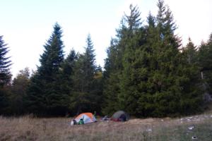 VercorsCerf-date (224)