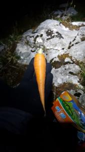 VercorsCerf-date (242)