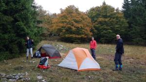 VercorsCerf-date (300)