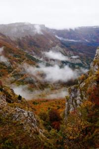 VercorsCerf-date (311)