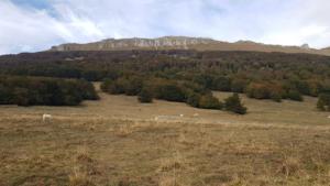 VercorsCerf-date (32)