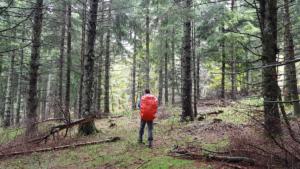 VercorsCerf-date (349)