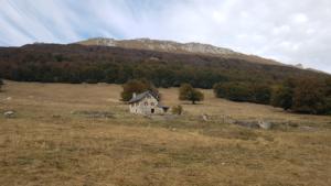 VercorsCerf-date (36)