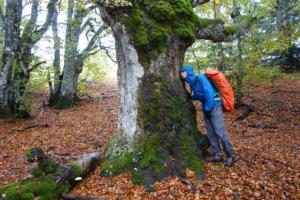 VercorsCerf-date (413)