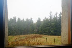 VercorsCerf-date (500)