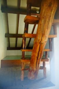 VercorsCerf-date (503)