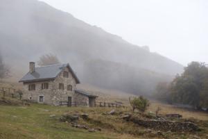 VercorsCerf-date (559)