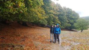 VercorsCerf-date (576)