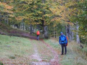 VercorsCerf-date (581)