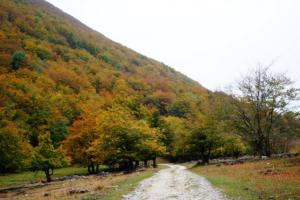 VercorsCerf-date (614)