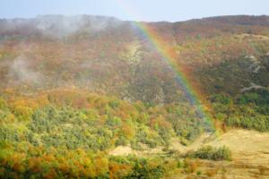 VercorsCerf-date (664)