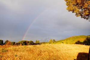 VercorsCerf-date (693)