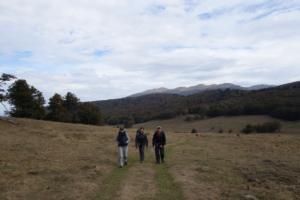 VercorsCerf-date (7)