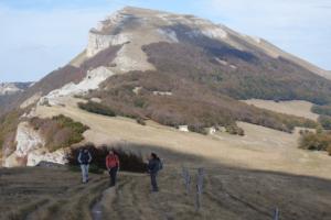 VercorsCerf-date (91)