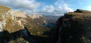 VercorsCerf-sansdate (3)