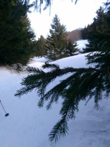 VercorsHivers-date (113)