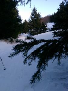 VercorsHivers-date (114)