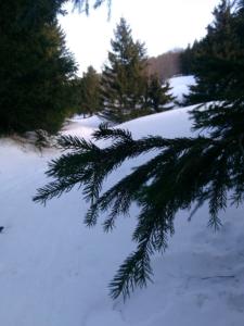 VercorsHivers-date (115)