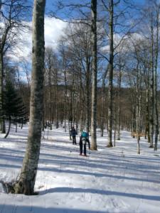 VercorsHivers-date (120)