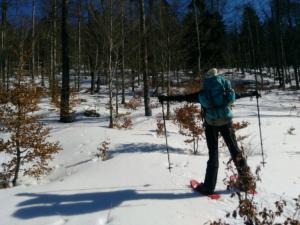 VercorsHivers-date (125)