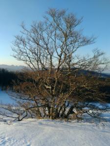 VercorsHivers-date (90)