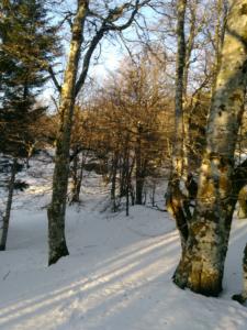 VercorsHivers-date (91)